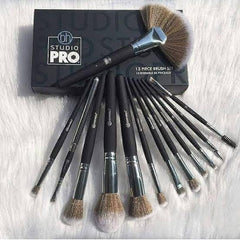 BH 13 Piece Brush Set
